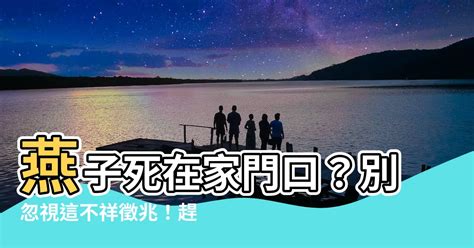 色廊造型 燕子死在家門口